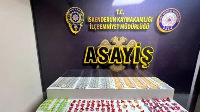 Hatay Emniyet Müdürlüğü ekipleri, dolandırıcılık suçlarına yönelik yürüttükleri çalışmalar kapsamında