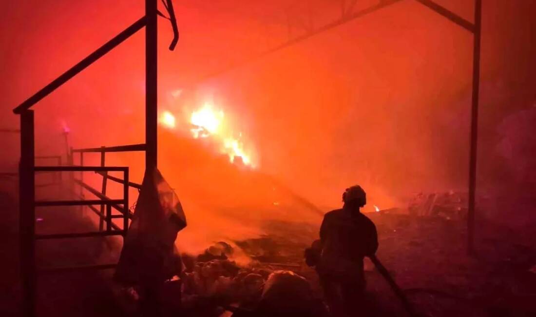 Hatay’da 100 büyükbaş hayvanın bulunduğu bir çiftliğin samanlık bölümünde çıkan