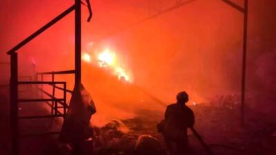 Hatay’da 100 büyükbaş hayvanın bulunduğu bir çiftliğin samanlık bölümünde çıkan