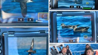 Türkiye’nin kuş çeşitliliğine Hatay’dan önemli bir katkı daha geldi. Kuş