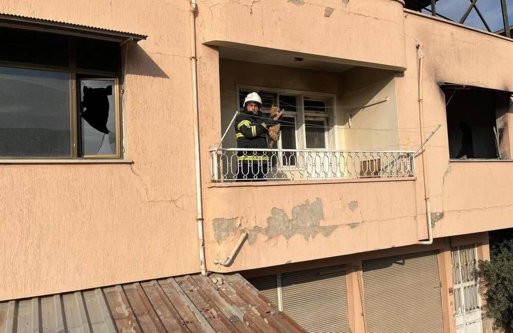 Hatay’ın Kırıkhan ilçesinde bir kedi, çatıda mahsur kaldı. Gazi Mahallesi