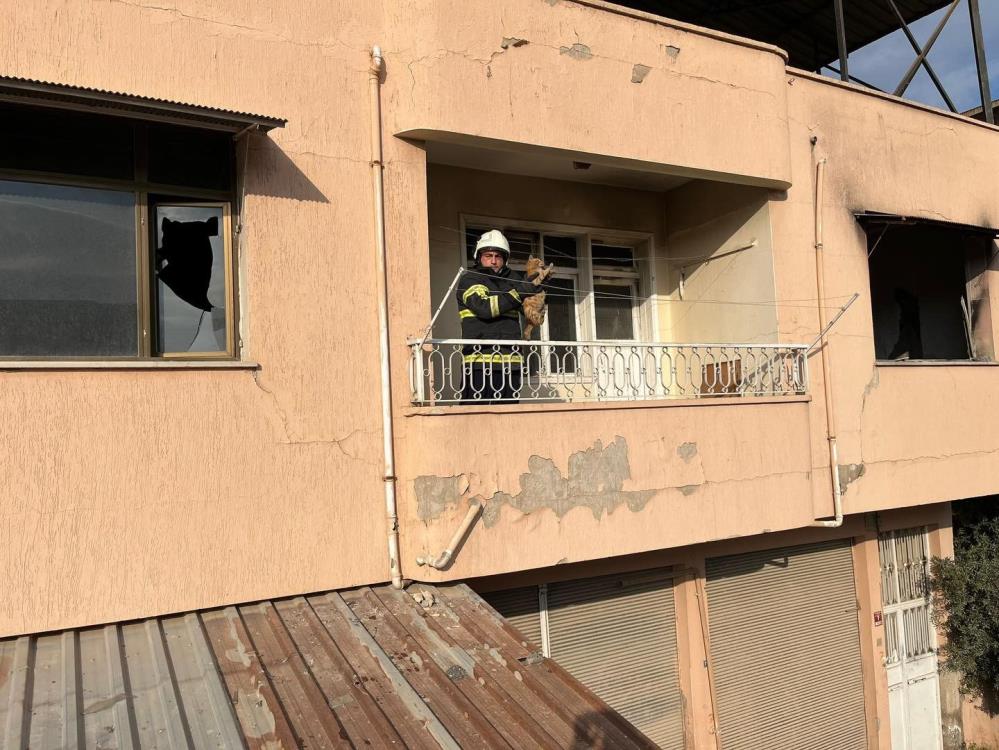 Hatay’ın Kırıkhan ilçesinde bir kedi, çatıda mahsur kaldı. Gazi Mahallesi