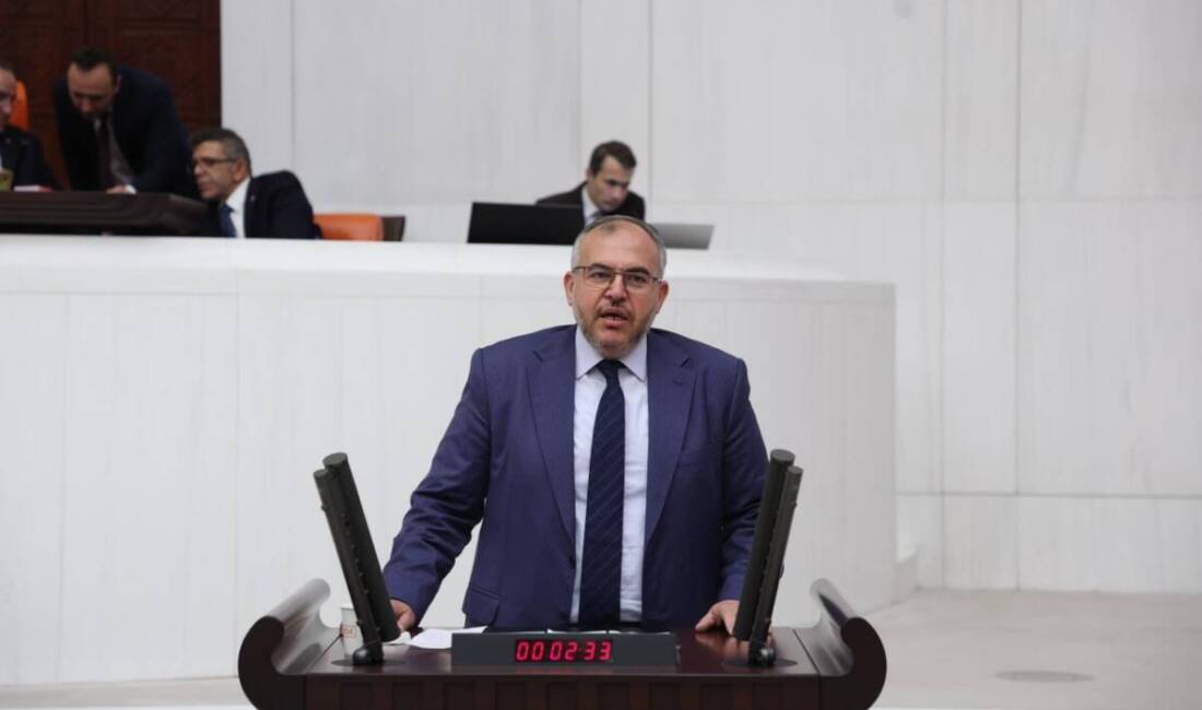 Saadet Partisi Hatay Milletvekili Doç. Dr. Necmettin Çalışkan, Meclis gündemindeki