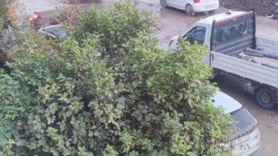 Hatay’ın Defne ilçesi Sümerler Mahallesi’nde günlerdir süren temiz su hattı