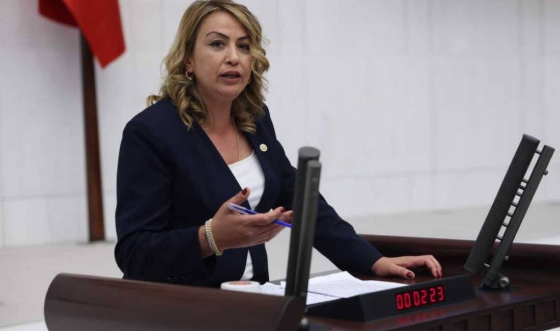 Cumhuriyet Halk Partisi Hatay Milletvekili Nermin Yıldırım Kara, kamu bankalarının