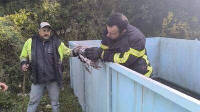 Hatay’ın Yayladağı ilçesine bağlı Yeditepe Mahallesi’nde arıtma tesisine düşen bir