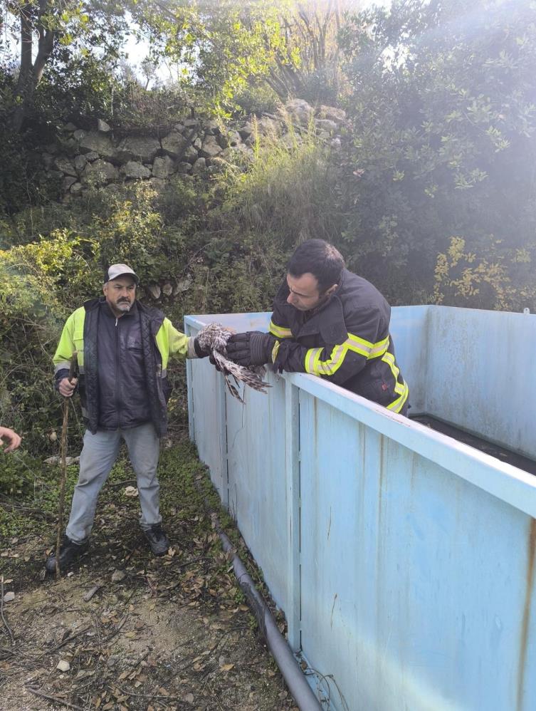Hatay’ın Yayladağı ilçesine bağlı Yeditepe Mahallesi’nde arıtma tesisine düşen bir