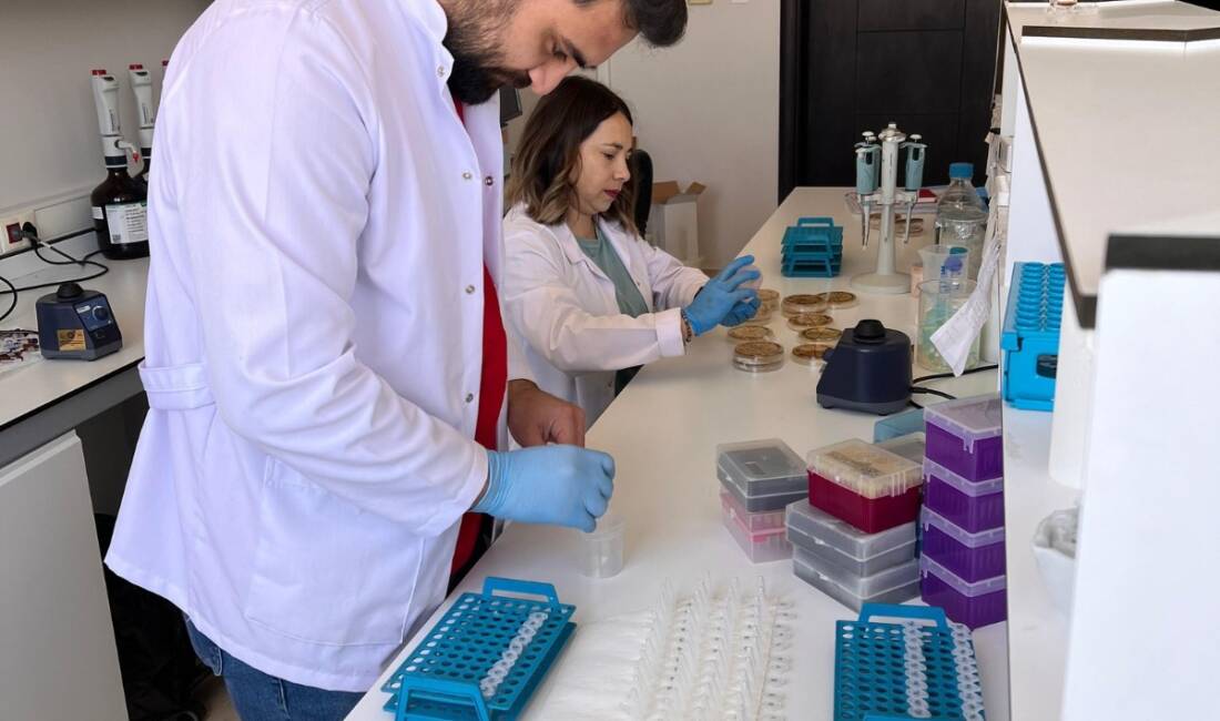 HMKÜ Tarımsal Araştırmalarda Türkiye’nin Öncüsü Oldu Hatay Mustafa Kemal Üniversitesi (MKÜ) bünyesinde faaliyet gösteren Bitki Sağlığı