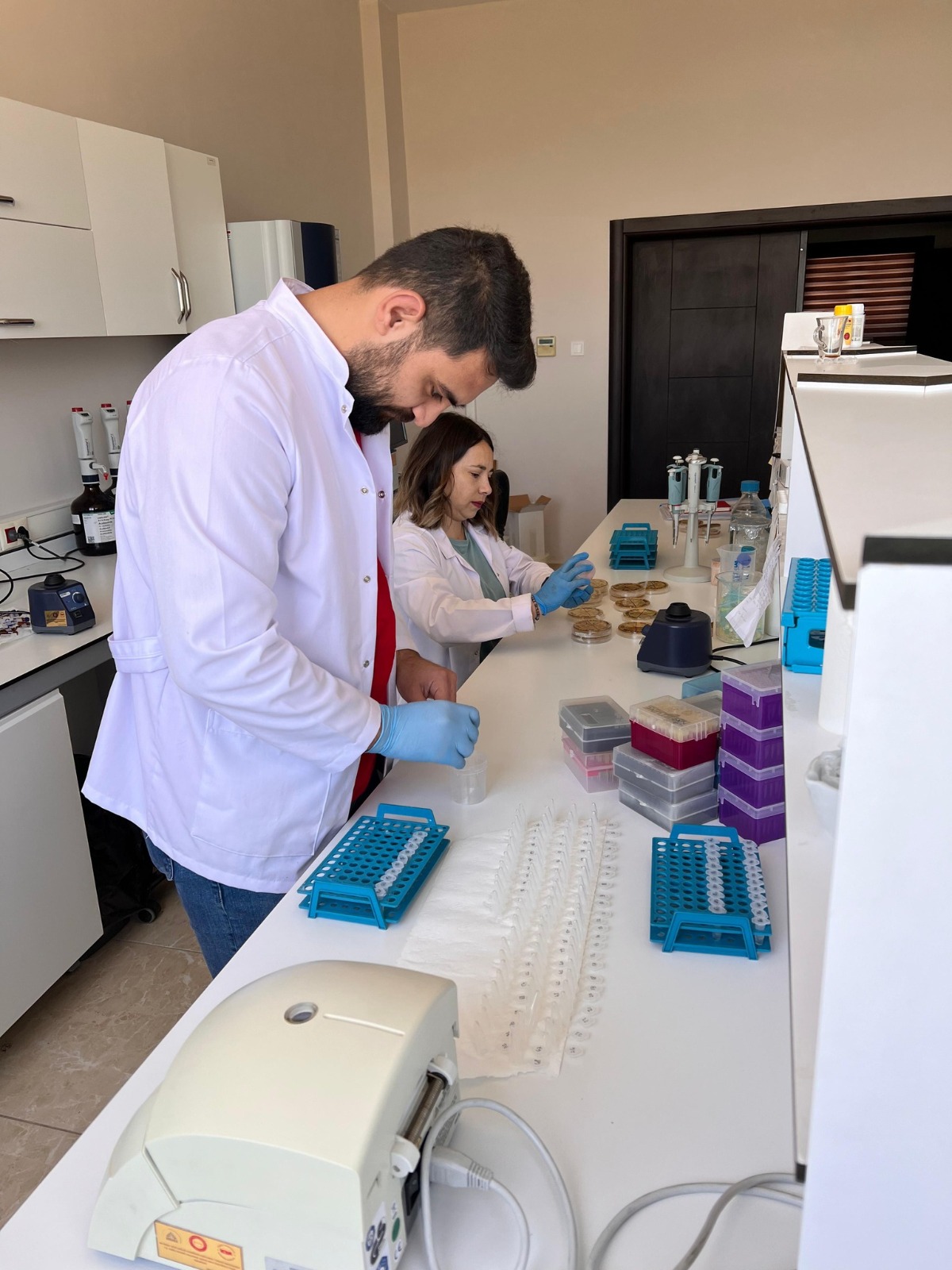 Hatay Mustafa Kemal Üniversitesi (MKÜ) bünyesinde faaliyet gösteren Bitki Sağlığı