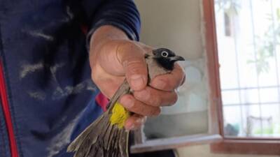 Hatay’ın Arsuz ilçesine bağlı Akçalı Mahallesi’nde bir iş yerinin bacasından