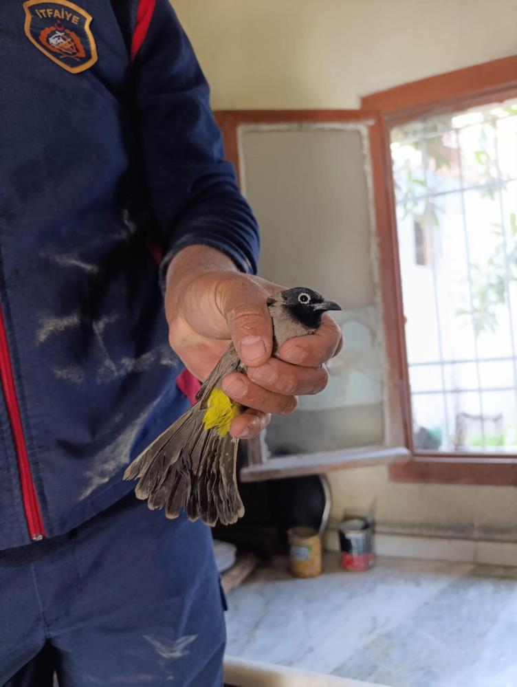 Arsuz’da itfaiyeden hassas müdahale