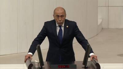 İYİ Parti Hatay Milletvekili Adnan Şefik Çirkin, Türkiye Büyük Millet