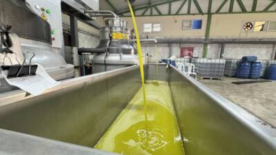 Hatay’ın Altınözü ilçesinde Tarım ve Kırsal Kalkınmayı Destekleme Kurumundan (TKDK)