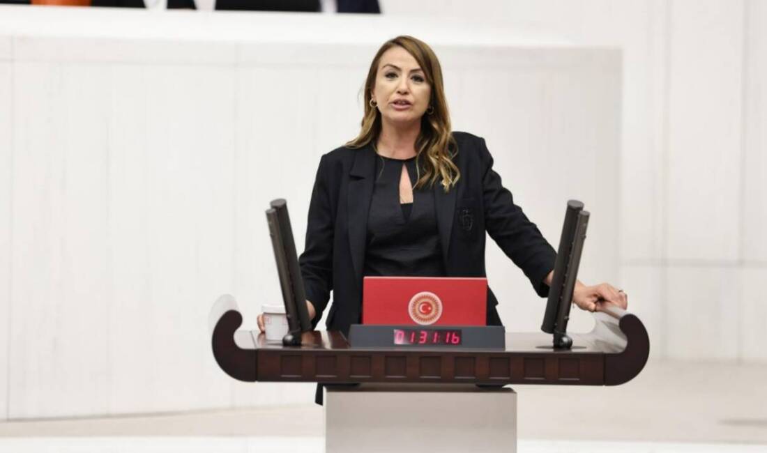 Kara: ‘Deprem defteri kapatılmak isteniyor’ CHP Hatay Milletvekili Nermin Yıldırım Kara, TBMM Genel Kurulu’nda süren