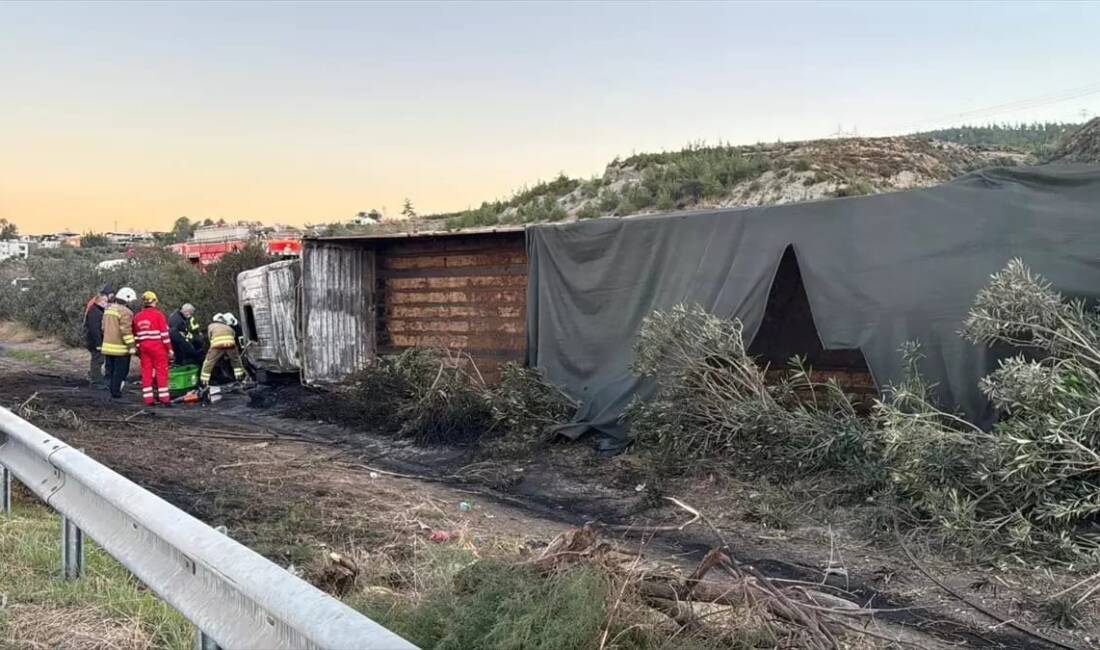 Hatay’da alev alan tırda can pazarı Hatay’ın Dörtyol ilçesinde refüje çarparak devrilen büyükbaş hayvan yüklü tırda