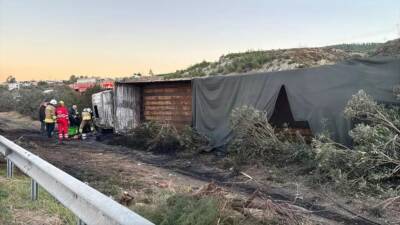 Hatay’ın Dörtyol ilçesinde refüje çarparak devrilen büyükbaş hayvan yüklü tırda