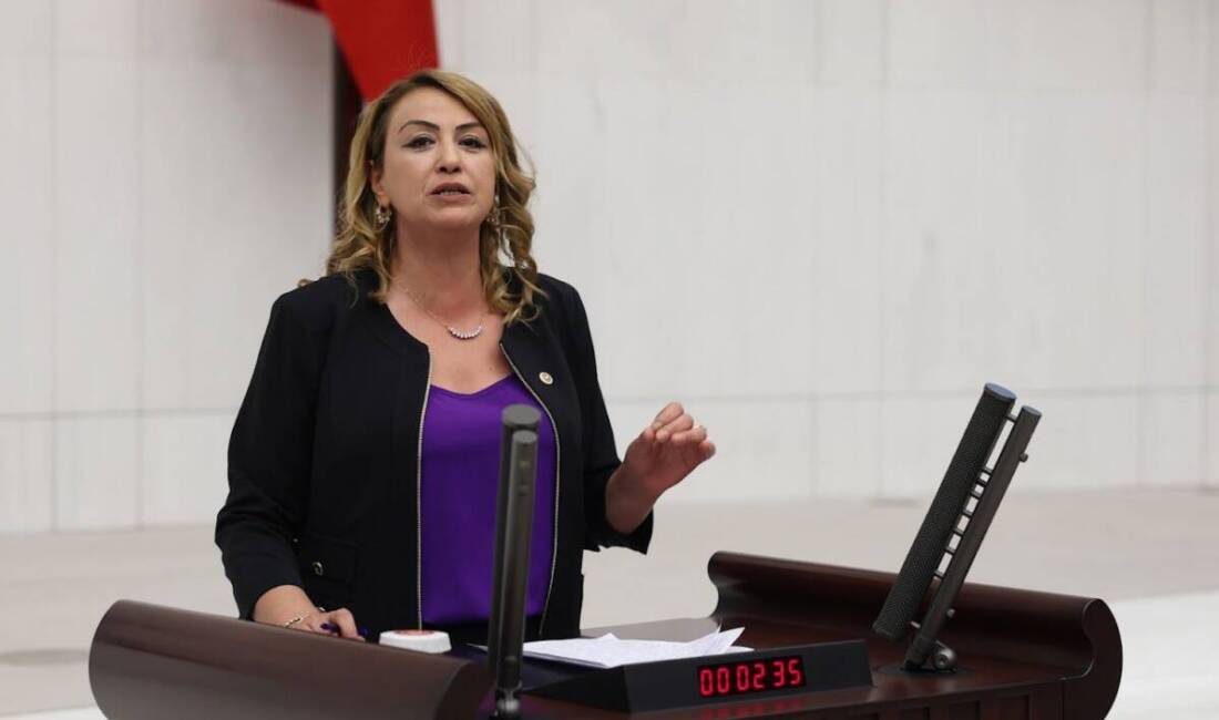 CHP Hatay Milletvekili Nermin Yıldırım Kara, Cumhurbaşkanlığı harcamalarındaki artışı sert