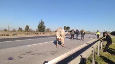 Hatay’da iki kişinin yaşamını yitirdiği tır kazasının ardından, yola savrulan
