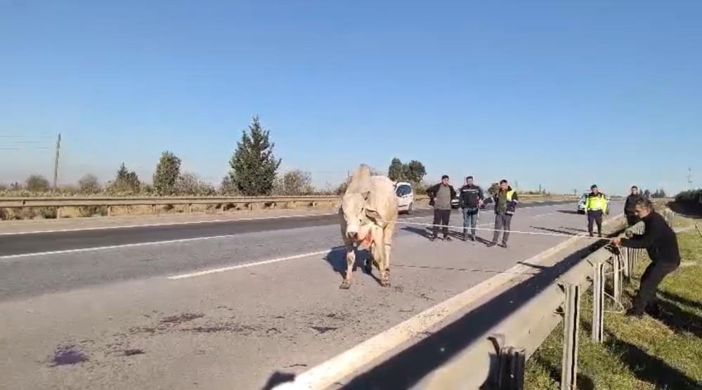Hatay’da iki kişinin yaşamını yitirdiği tır kazasının ardından, yola savrulan
