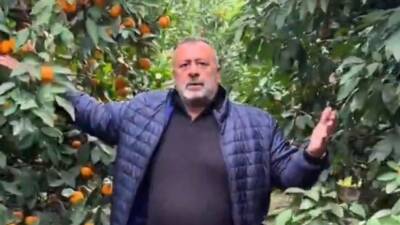 Hatay’ın Dörtyol ilçesinde 3 bin 800 mandalina ağacı bulunan bir