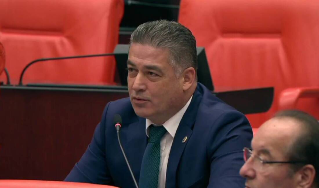 CHP Hatay Milletvekili Servet Mullaoğlu, Türkiye Büyük Millet Meclisi (TBMM)