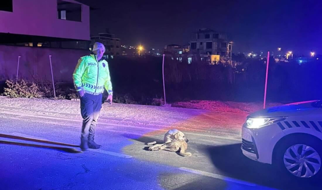 Hatay’ın Samandağ ilçesinde devriye görevi yapan polis ekipleri, yaralı halde