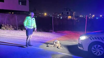 Hatay’ın Samandağ ilçesinde devriye görevi yapan polis ekipleri, yaralı halde