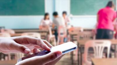 Fenomen öğretmenler mercek altında, Milli Eğitim Bakanlığı (MEB), sosyal medyada