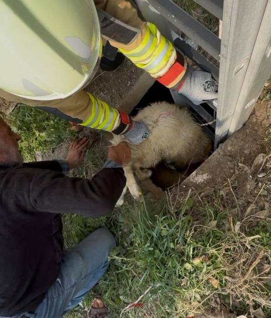 Hatay’da bir koyunun düştüğü kuyu, itfaiye ekiplerinin zamanında müdahalesiyle faciaya