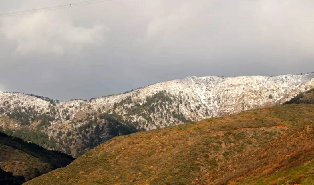 Hatay’ın yüksek kesimlerinde etkili olan yağışla birlikte Amanos Dağı etekleri