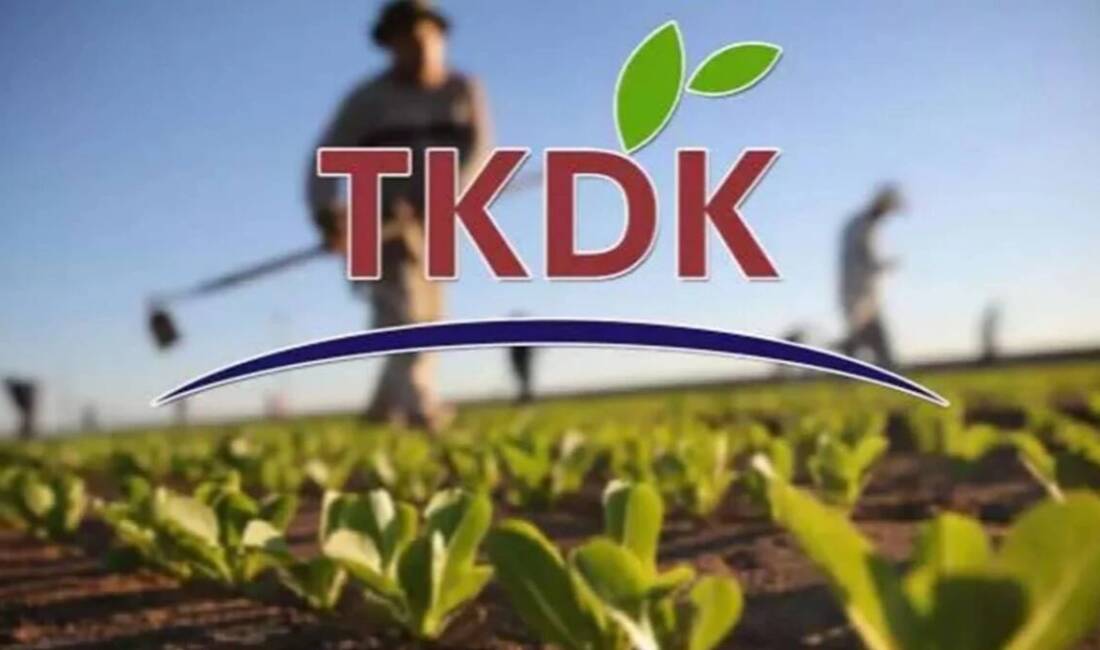 Tarım ve Kırsal Kalkınmayı Destekleme Kurumu (TKDK), merkez ve taşra