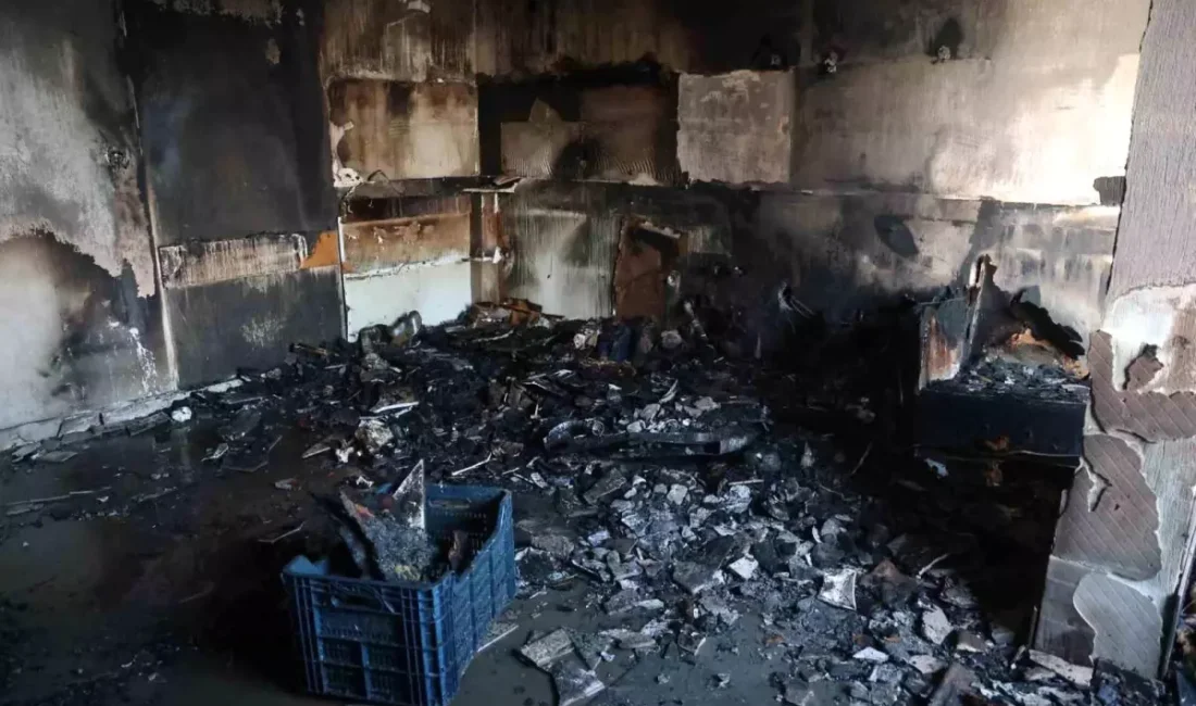 Hatay’ın Kırıkhan ilçesine bağlı Kalekamberli Mahallesi’nde yaşayan Yaşar Umur’a ait