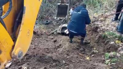 Hatay’ın Kırıkhan ilçesinde otlarken dereye düşen inek, itfaiye ekiplerinin başarılı