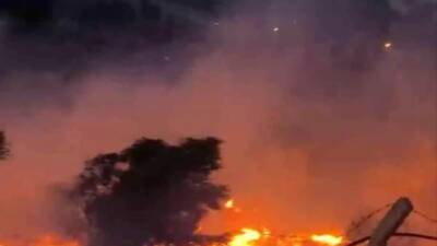 İskenderun ilçesinde çıkan yangın, Orman İşletme Müdürlüğü ekiplerinin hızlı müdahalesiyle