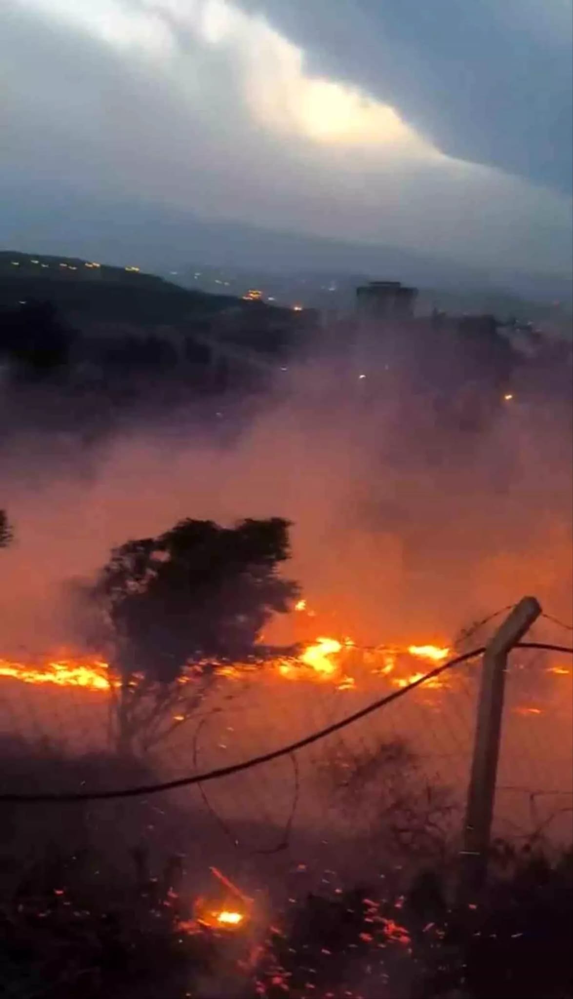 İskenderun ilçesinde çıkan yangın, Orman İşletme Müdürlüğü ekiplerinin hızlı müdahalesiyle