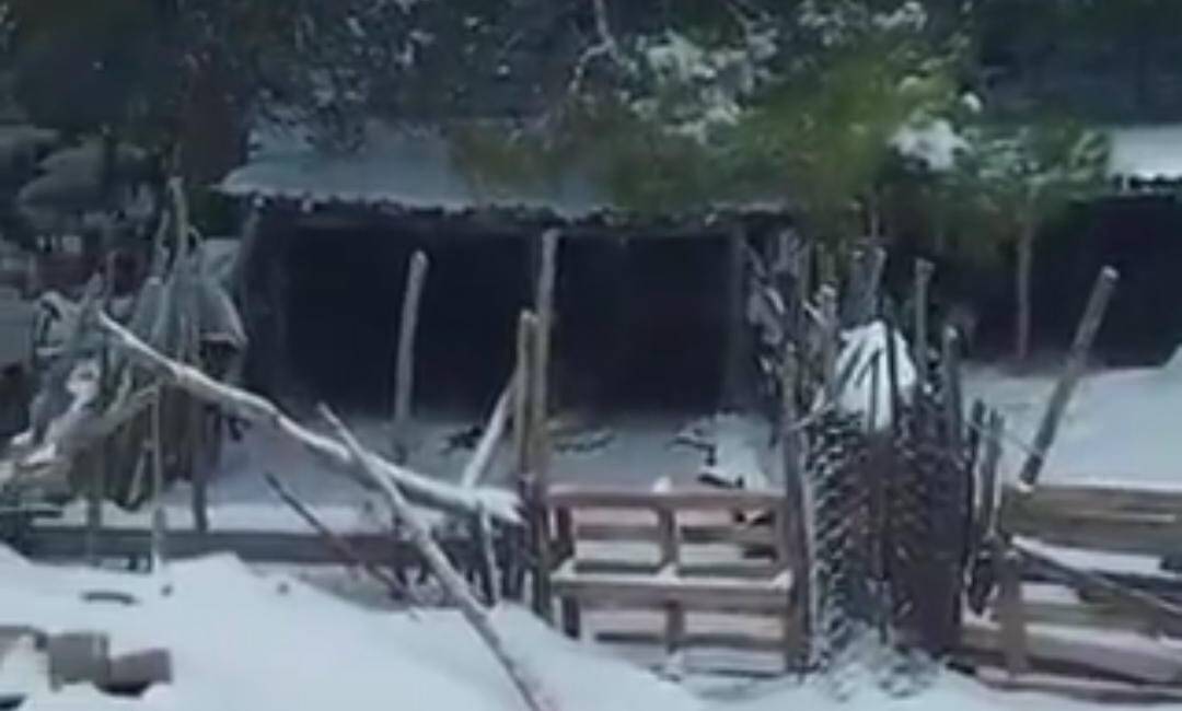 Hatay’ın Kırıkhan ilçesine bağlı Alan Yaylası’nda etkili olan yoğun kar