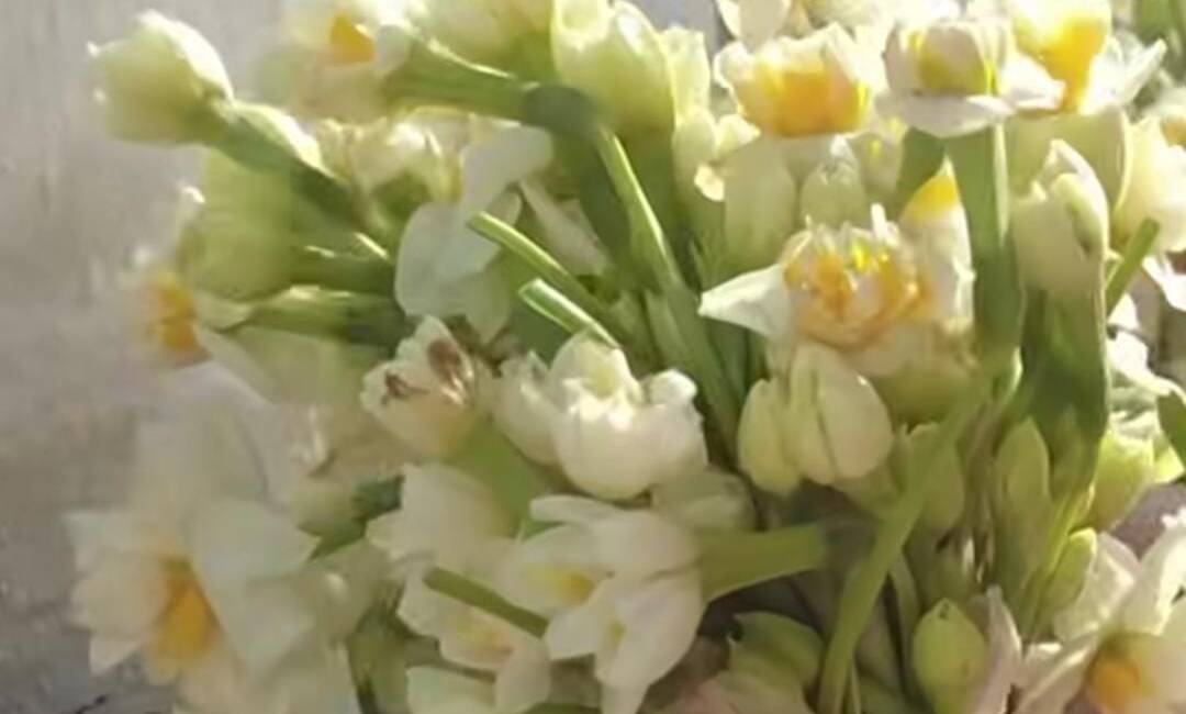 Hatay Büyükşehir Belediyesi (HBB), 6 Şubat 2023’te yaşanan depremin ardından