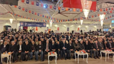 Hatay Şoförler Otomobil Otobüs Kamyon Kamyonet Minibüs Esnaf Odası Genel