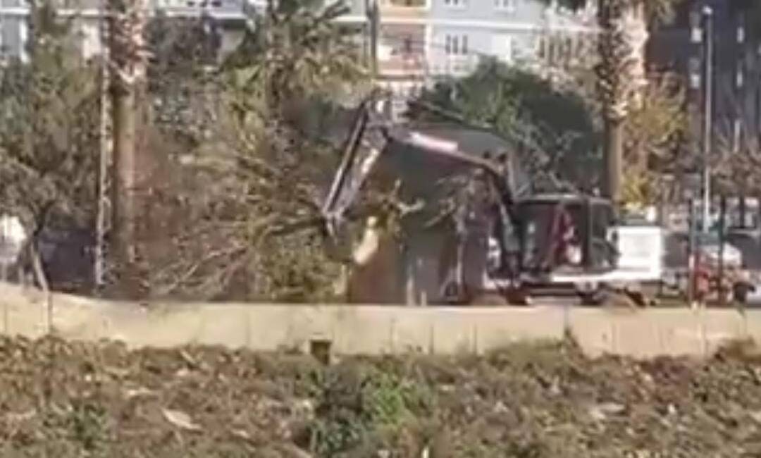 &nbsp; Hatay’ın Defne ilçesinde bulunan Sevgi Parkı’nda ağaçların söküldüğü iddiası