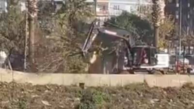 &nbsp; Hatay’ın Defne ilçesinde bulunan Sevgi Parkı’nda ağaçların söküldüğü iddiası