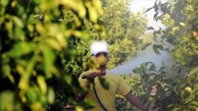 Tarım ve Orman Bakanlığı, tarladan sofraya uzanan süreçte gıda güvenliğini