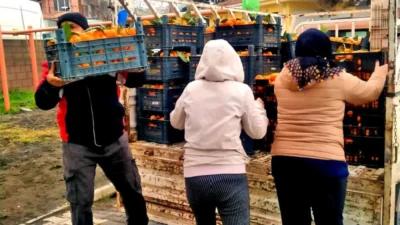 Çeşme Alaçatı Gıda Topluluğu (AGT), Hatay’daki narenciye üreticileri ile depremzedeler