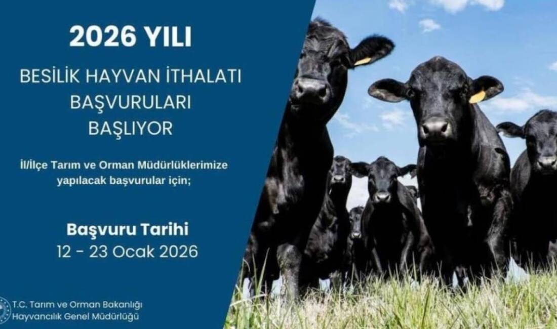 Hayvancılık sektörünü doğrudan ilgilendiren 2026 yılı besilik hayvan ithalatı sürecine