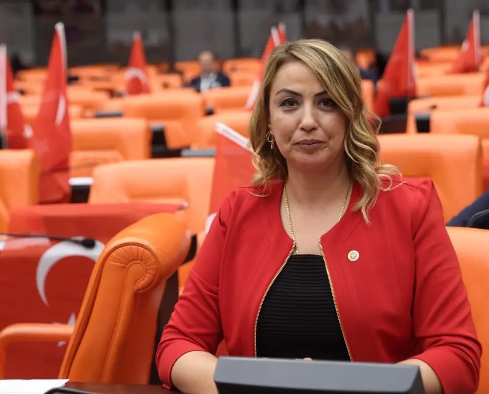 Cumhuriyet Halk Partisi (CHP) Hatay Milletvekili Nermin Yıldırım Kara, Türkiye