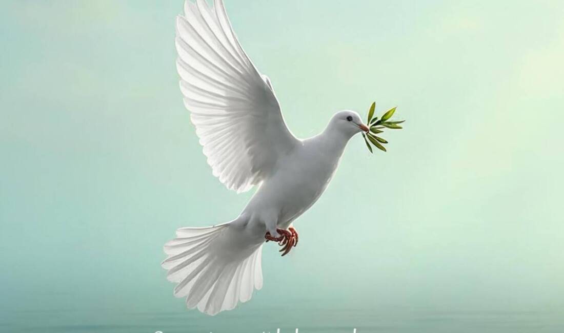 Hatay Büyükşehir Belediye Başkanı Mehmet Öntürk, Rumi takvime göre yılbaşı