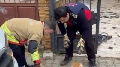 Hatay’ın Samandağ ilçesinde demir korkuluklara sıkışarak mahsur kalan bir köpek,