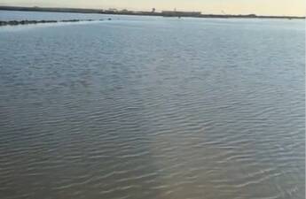 Hatay’da 1950–1975 yılları arasında sıtma ile mücadele ve tarım alanı