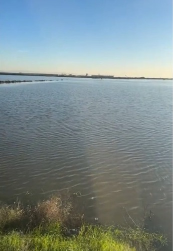 Hatay’da 1950–1975 yılları arasında sıtma ile mücadele ve tarım alanı