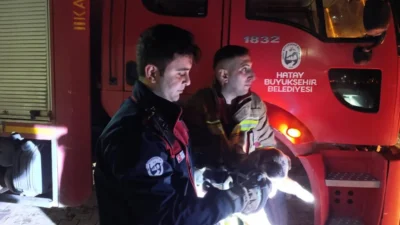 Hatay’da kuyuya düşerek mahsur kalan yavru köpek, itfaiye ekiplerinin zamanında