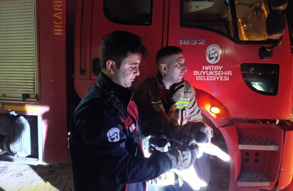 Hatay’da kuyuya düşerek mahsur kalan yavru köpek, itfaiye ekiplerinin zamanında